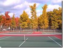 stanton_courts_fall_trees_2
