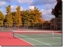 stanton_courts_fall_trees_3